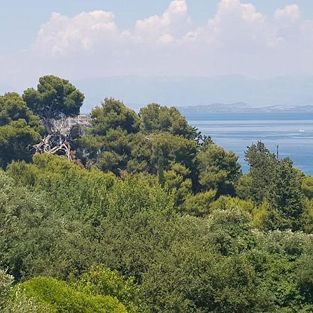Mon Repos Panorama Lägenhet Corfu  Exteriör bild